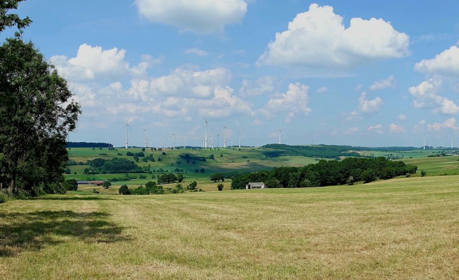 Happenberg und Krausenberg westlich des Ellerbachtals in der Gemarkung Schwaney  Foto: Susanne Pöhler für den Kreis Paderborn